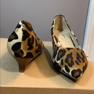 Mossimo leopard print   kitten heals